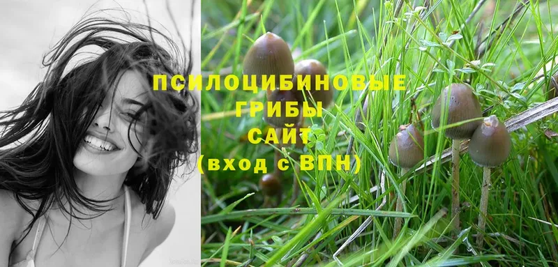 Галлюциногенные грибы Psilocybine cubensis  blacksprut маркетплейс  Белоярский 